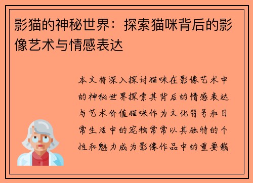 影猫的神秘世界：探索猫咪背后的影像艺术与情感表达